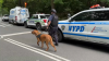Central Park sunbather attack: Person of interest in custody, sources say