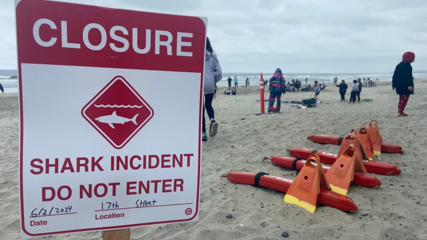 A 46-year-old man was sent to the hospital after being bitten by a shark in Del Mar around 9 a.m. on Sunday, prompting Del Mar lifeguards to close beaches for swimming and surfing in the area. (City of Del Mar)