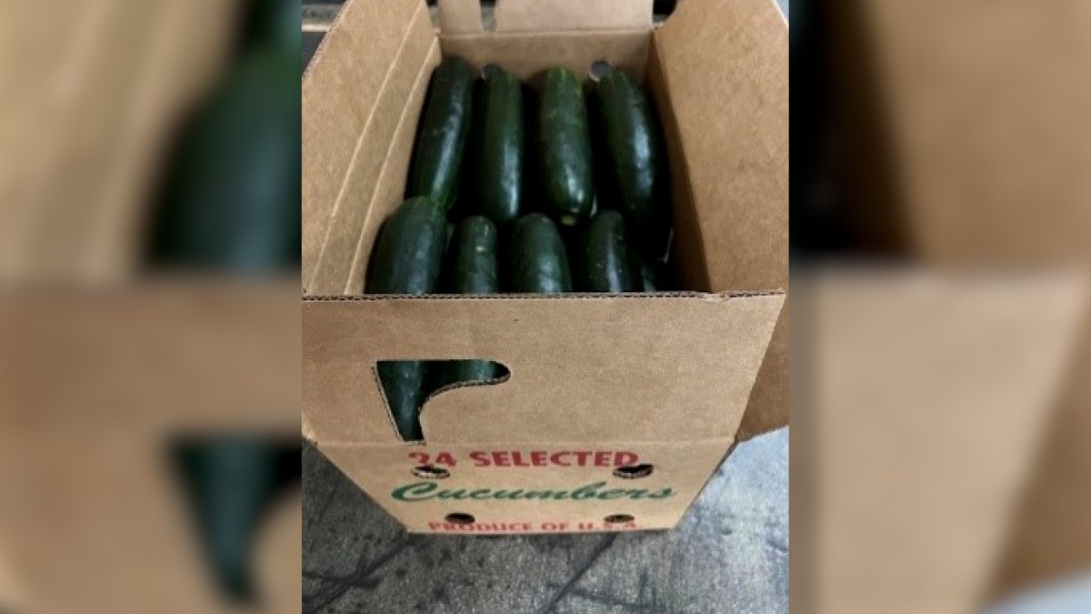 Cucumbers recalled in 14 states over salmonella concerns NBC New York