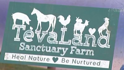 New York animal sanctuary struggling to survive without tax break