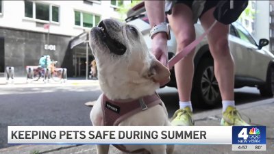 Keeping pets safe amid Summer heat and Fourth of July fireworks