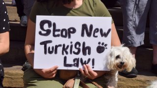 A protester with a dog holds a 'Stop new Turkish law'