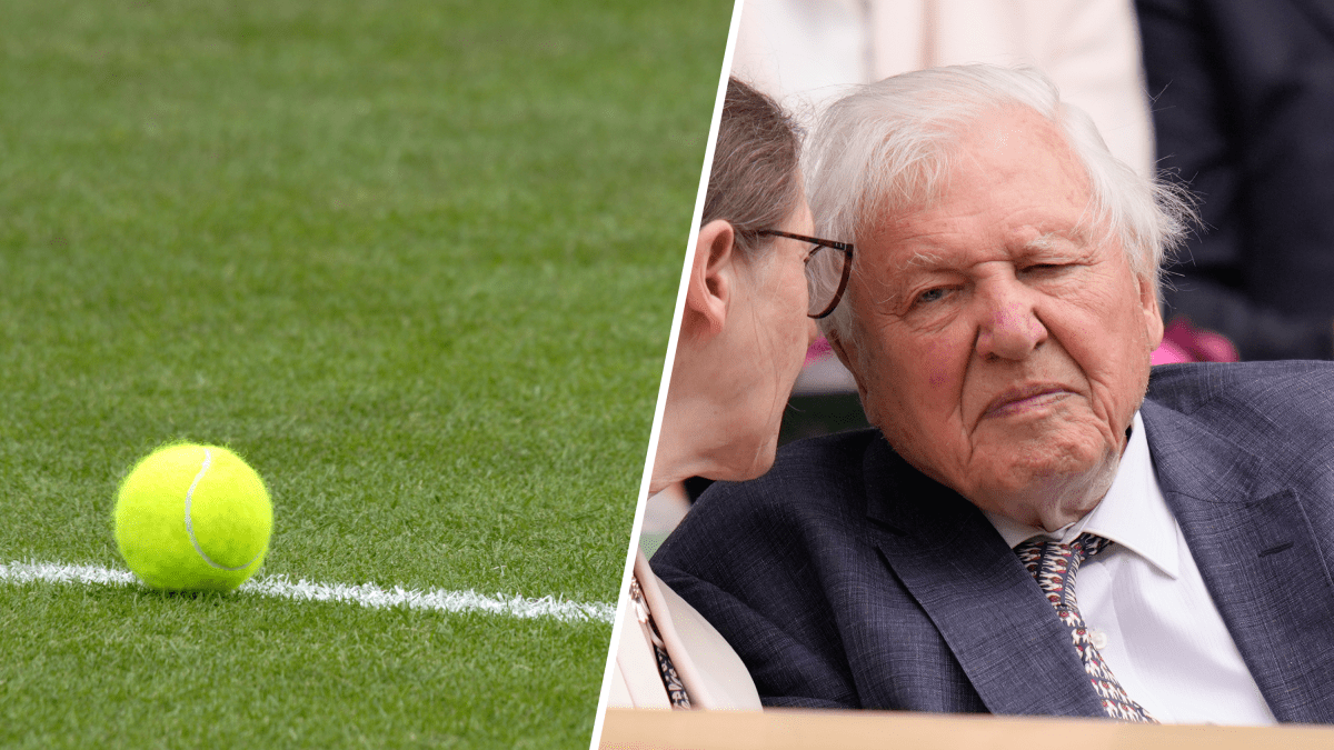 David Attenborough’s colorful impact on Wimbledon and tennis: yellow balls