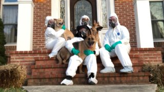 Brandi Schmitt and her family pose for a 2018 Christmas card in front of their Maryland home wearing protective gear, alluding to the water and mold damage in their home. Each year, Schmitt said they try to capture the family’s situation through their Christmas card.