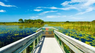 Nature preserve in Port Saint Lucie Florida.