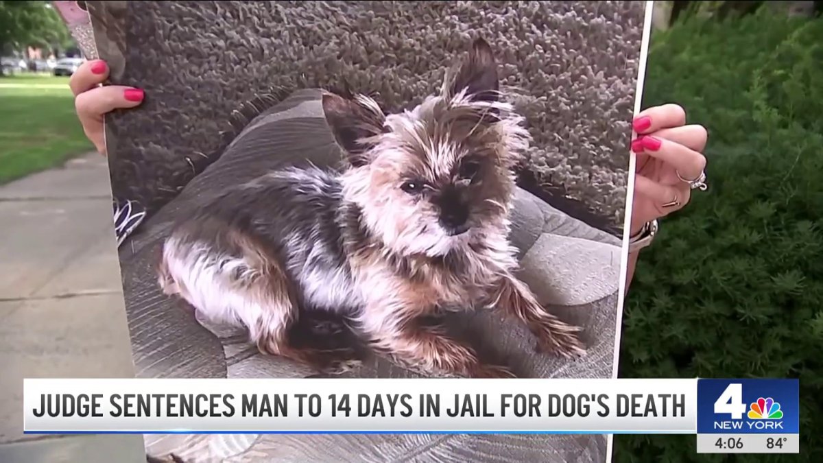 Judge sentences man to 14 days in jail for dog’s death – NBC New York