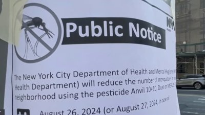 NYC conducts mosquito spraying to prevent spread of West Nile virus