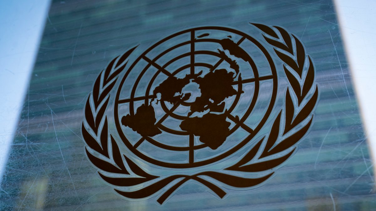 UN fires staffers after potential involvement in Oct. 7 attack NBC New York
