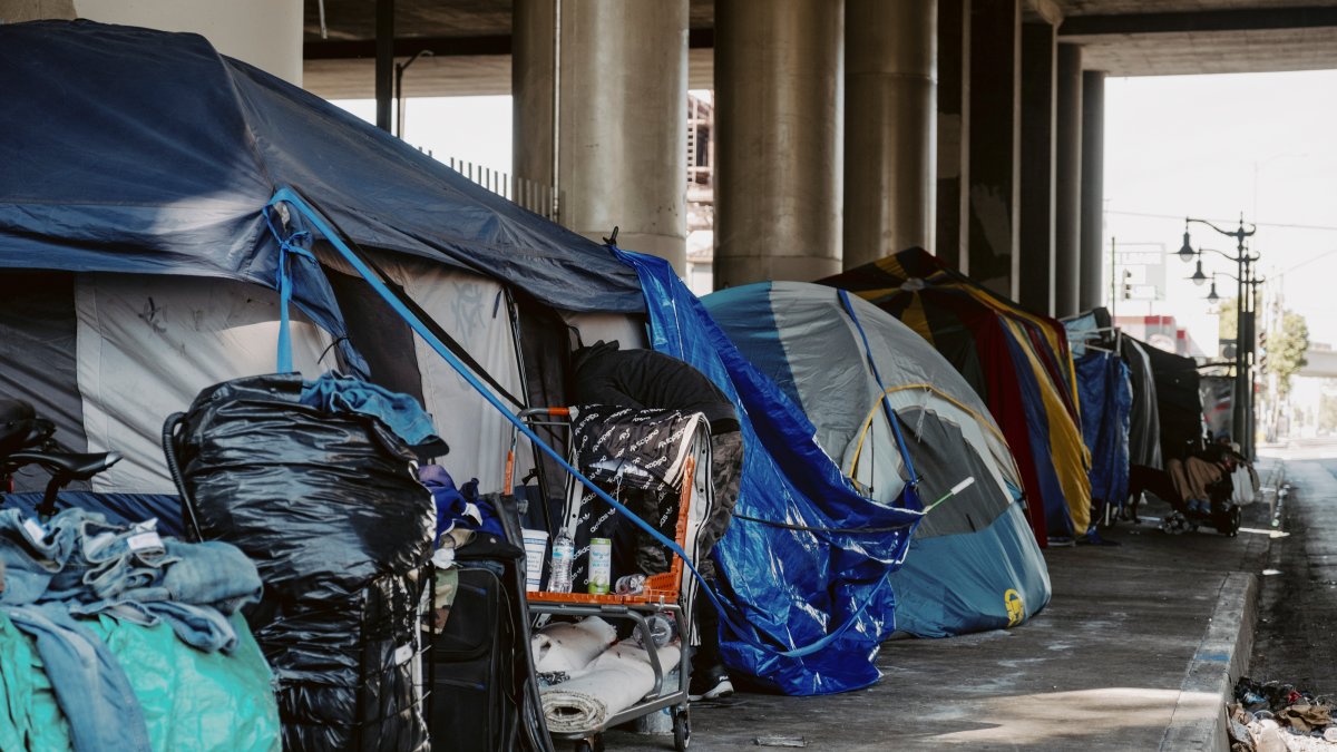 Plans to address homeless crisis vary among mayor candidates – NBC New York