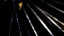 The Golden Voyager descends into the stadium as a light show takes place during the Closing Ceremony of the Olympic Games Paris 2024 at Stade de France on August 11, 2024 in Paris, France.