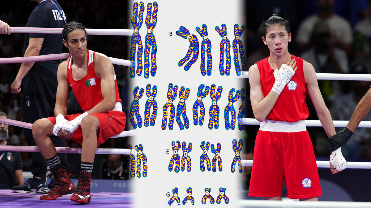 Fact Check: Olympics boxing gender testing controversy explained