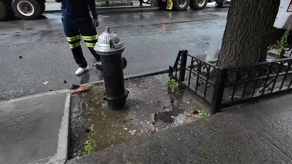 Bed-Stuy fire hydrant became a home this week to about 100 goldfish.