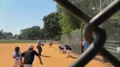 Tree crashes onto tent near players bench at NJ Little League game