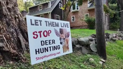 Controversial deer hunt to resume again in New Jersey borough, sparking pushback