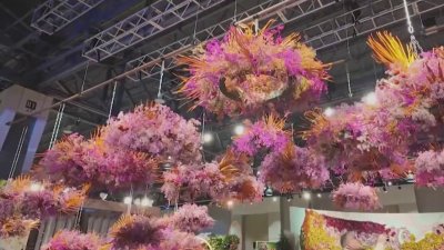 Theme for 2025 Philadelphia Flower Show revealed