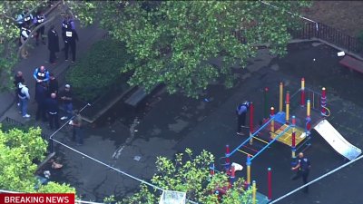 1 dead, 2 others hurt in shooting at Brooklyn playground, police say