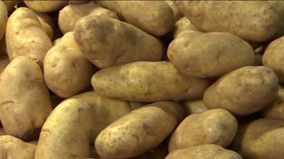 Produce Pete: Picking and storing potatoes