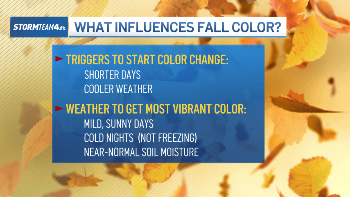 Weather In Fall New York fall foliage forecast: Will dry weather impact colors? – NBC ...