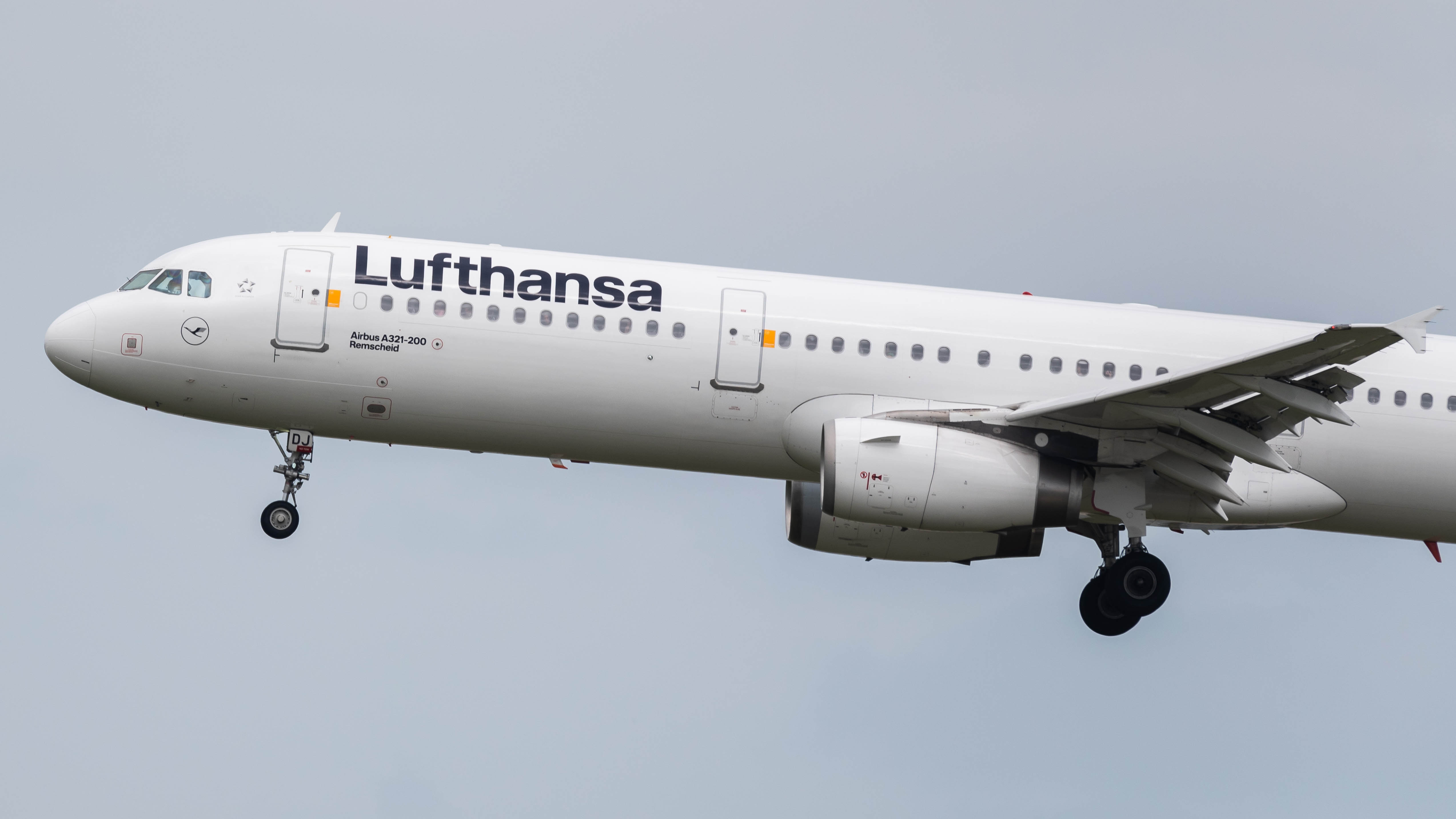 Lufthansa Fined For Discriminating Against Jewish Passengers – NECN