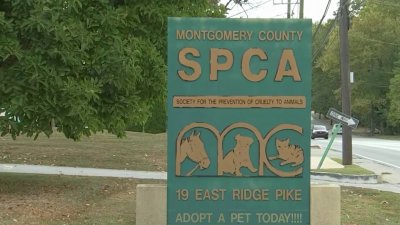 Montco SPCA Exec. Dir. retires amid controversy