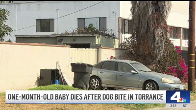 1-month-old dies after being bitten by dog at Torrance home