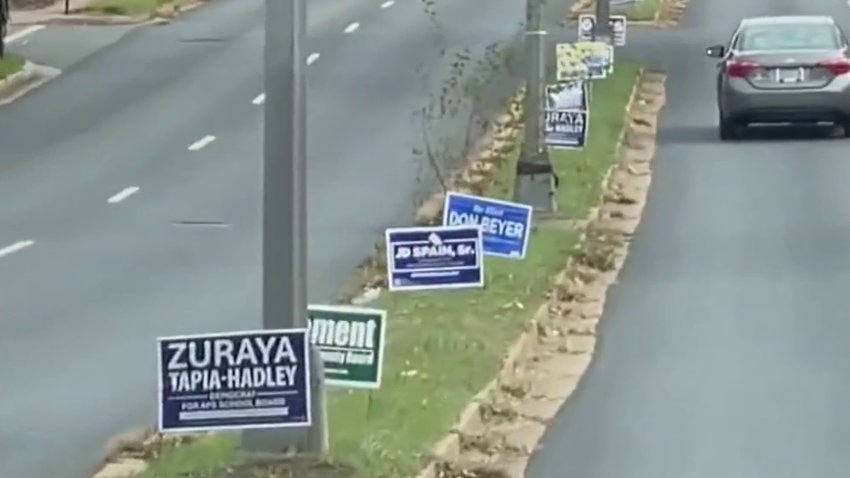 Campaign signs on a median in Arlington