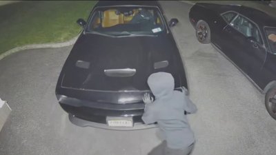 Car stolen out of Long Island home's driveway