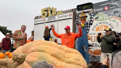 2,471-pound pumpkin wins annual weigh-off in Half Moon Bay