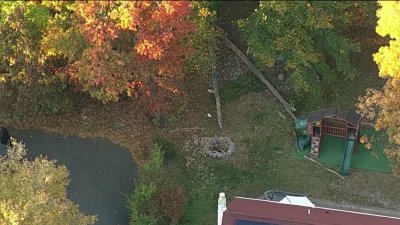 Tree falls and kills 12-year-old boy while he was playing in backyard