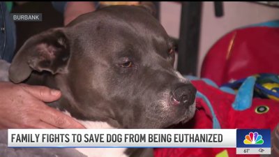 Burbank family fights to save dog from being euthanized after bite