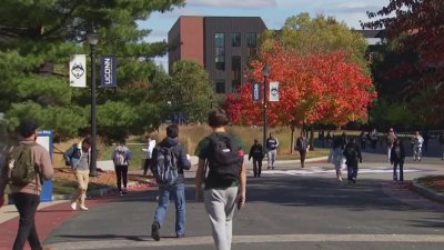 Cutting classes? UConn reviews enrollment numbers for some major studies