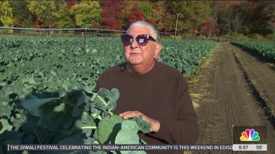 Produce Pete: Broccoli