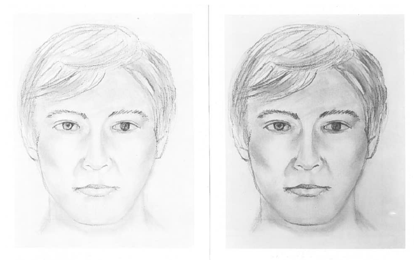 Danbury, Conn. police arrest suspect in 1989 cold case – NBC New York