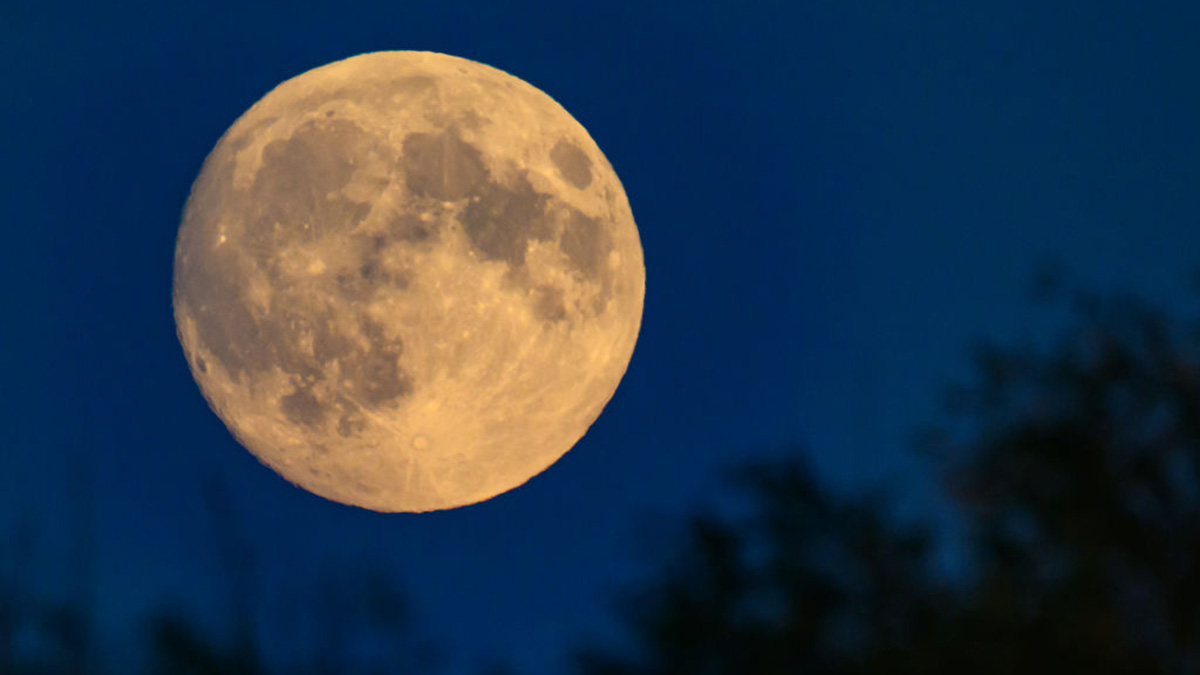 Last supermoon of 2024 When to see the ‘Beaver Moon’ NBC New York