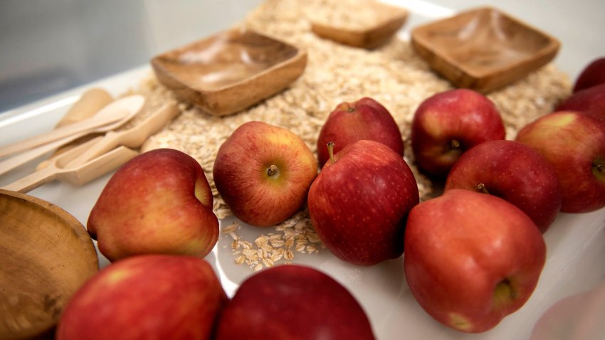 Pre-Rosh Hashanah holiday apples and honey themed Mommy and Me program includes a sensory bin at Alef Preschool in Palm Beach September 27, 2024.