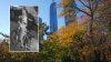 Police looking for man who threw women over Central Park fence, tried to rape her