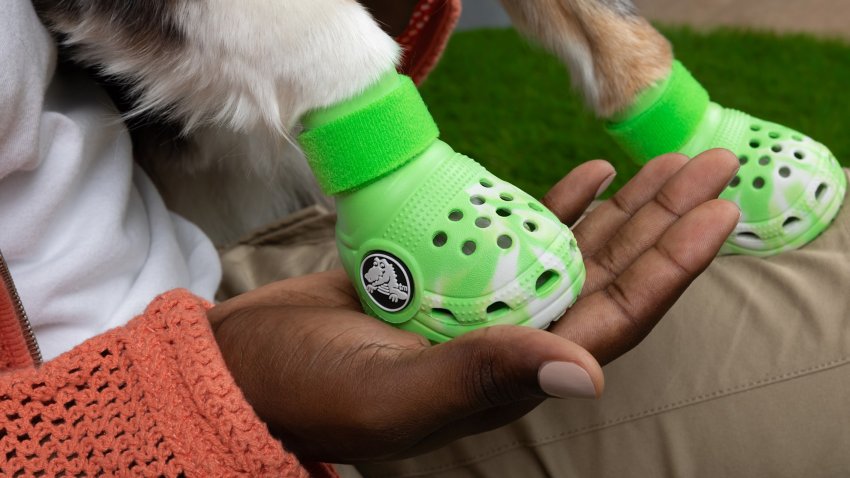 Pet Crocs