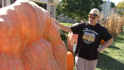 Suburban man wins state title for 2,000 pound pumpkin