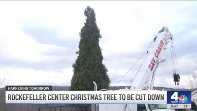 Rockefeller Center Christmas Tree to be cut down: Here's where it's coming from