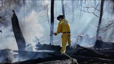 Wind fuels growing wildfires in New York and New Jersey