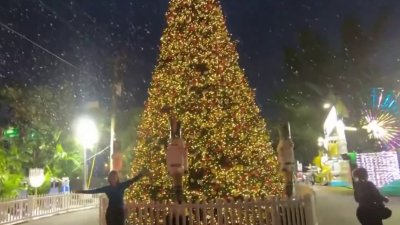 Christmas Wonderland opens for it second year at Tropical Park