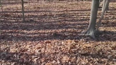 Drought watch issued for Westchester County