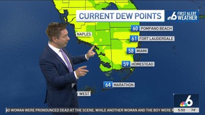 South Florida weather forecast – morning – Nov. 19, 2024