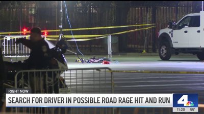 Search for driver in possible road rage hit-and-run in Exposition Park