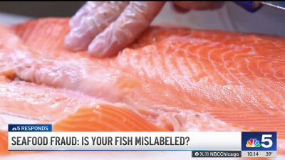 Is your seafood ‘catfishing' you? Study shows 1 in 5 fish mislabeled, fraudulent