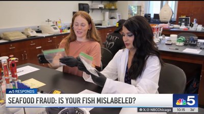 Testing reveals frequent instances of mislabeled fish sold in Chicago area