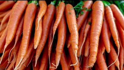 1 person in San Diego sickened from nationwide E. coli outbreak linked to organic carrots