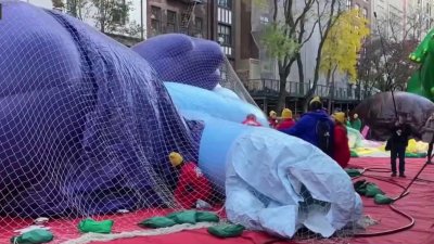 Crowds watch balloon inflation, as NYPD preps for Macy's Thanksgiving Day Parade