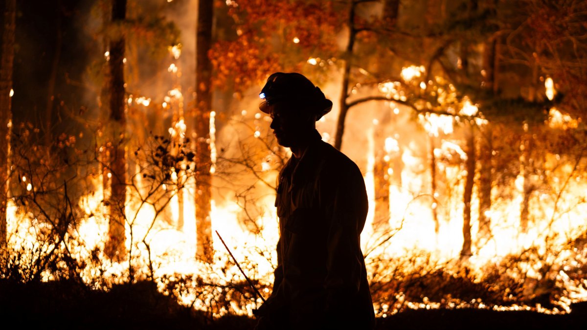 Wildfires keep coming in bone-dry NJ. Here’s the latest – NBC New York