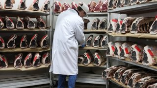 John Jobbagy shows dry aged beef during an interview at J.T. Jobbagy Inc. in the Meatpacking District of Manhattan, Tuesday, Nov. 19, 2024, in New York. (AP Photo/Julia Demaree Nikhinson)